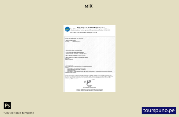 Plantilla de certificado de seguro de automóvil del Reino Unido lista para impri